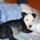 jack 2 meses 